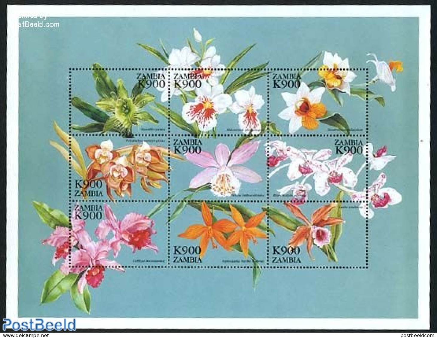 Zambia 1999 Orchids 9v M/s, Bluegreen, Mint NH, Nature - Flowers & Plants - Orchids - Zambie (1965-...)