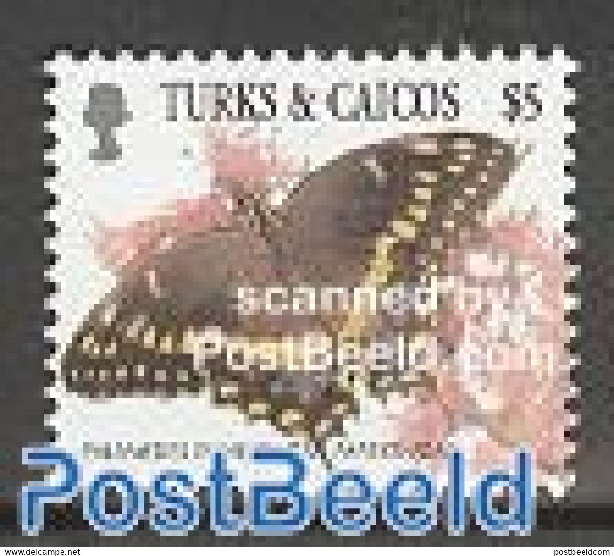 Turks And Caicos Islands 2002 Butterfly 1v $5, Mint NH, Nature - Butterflies - Autres & Non Classés
