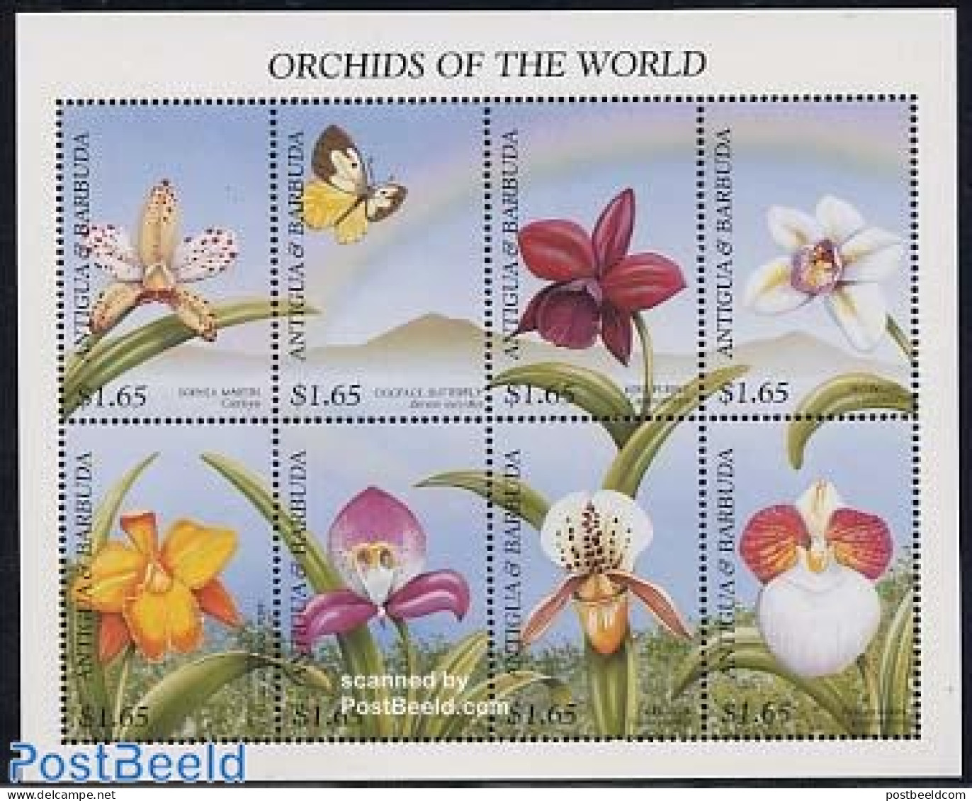 Antigua & Barbuda 1997 Orchids 8v M/s, Sophia Martin, Mint NH, Nature - Butterflies - Flowers & Plants - Orchids - Antigua And Barbuda (1981-...)