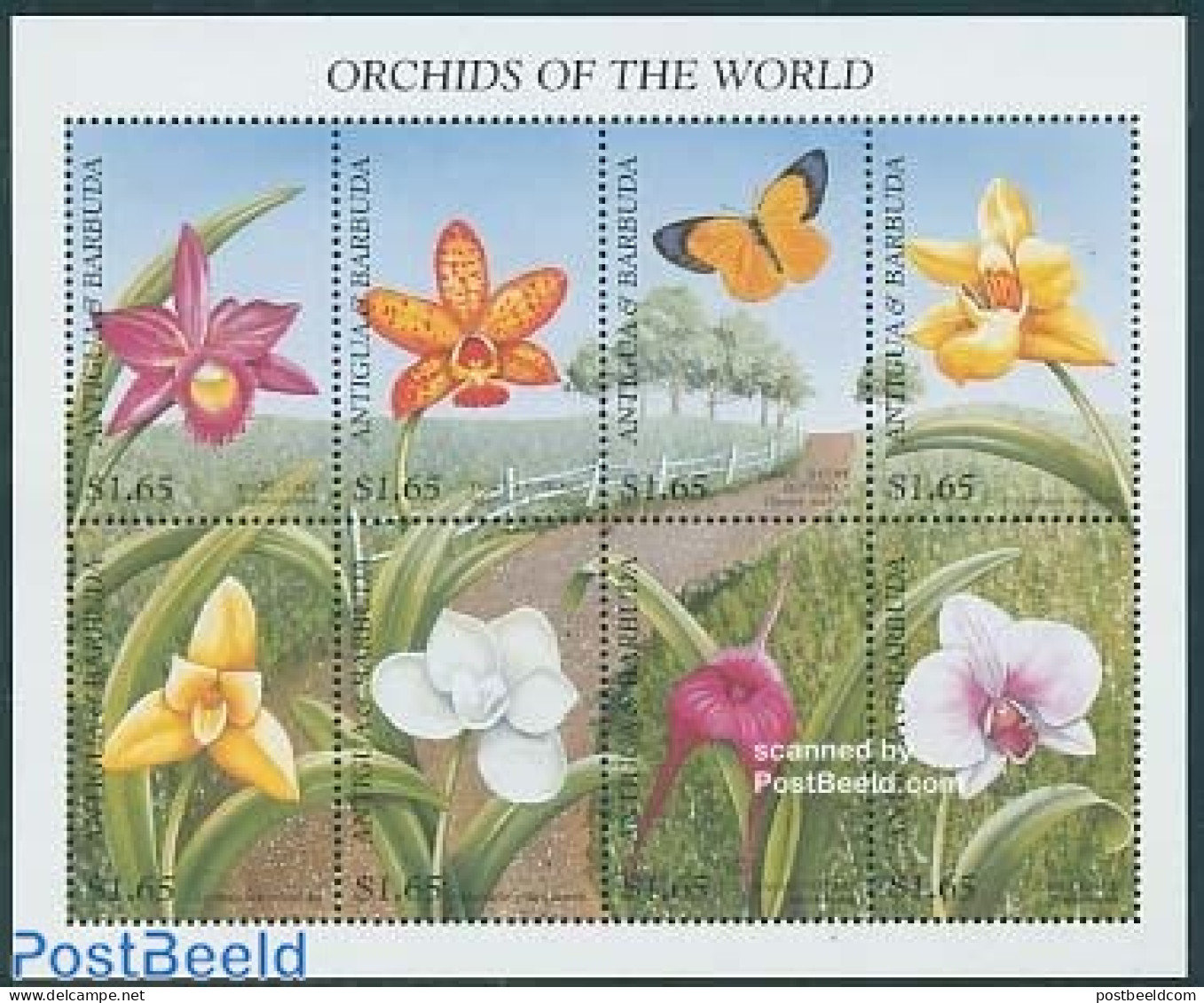 Antigua & Barbuda 1997 Orchids 8v M/s, Brassocattleya, Mint NH, Nature - Butterflies - Flowers & Plants - Orchids - Antigua And Barbuda (1981-...)