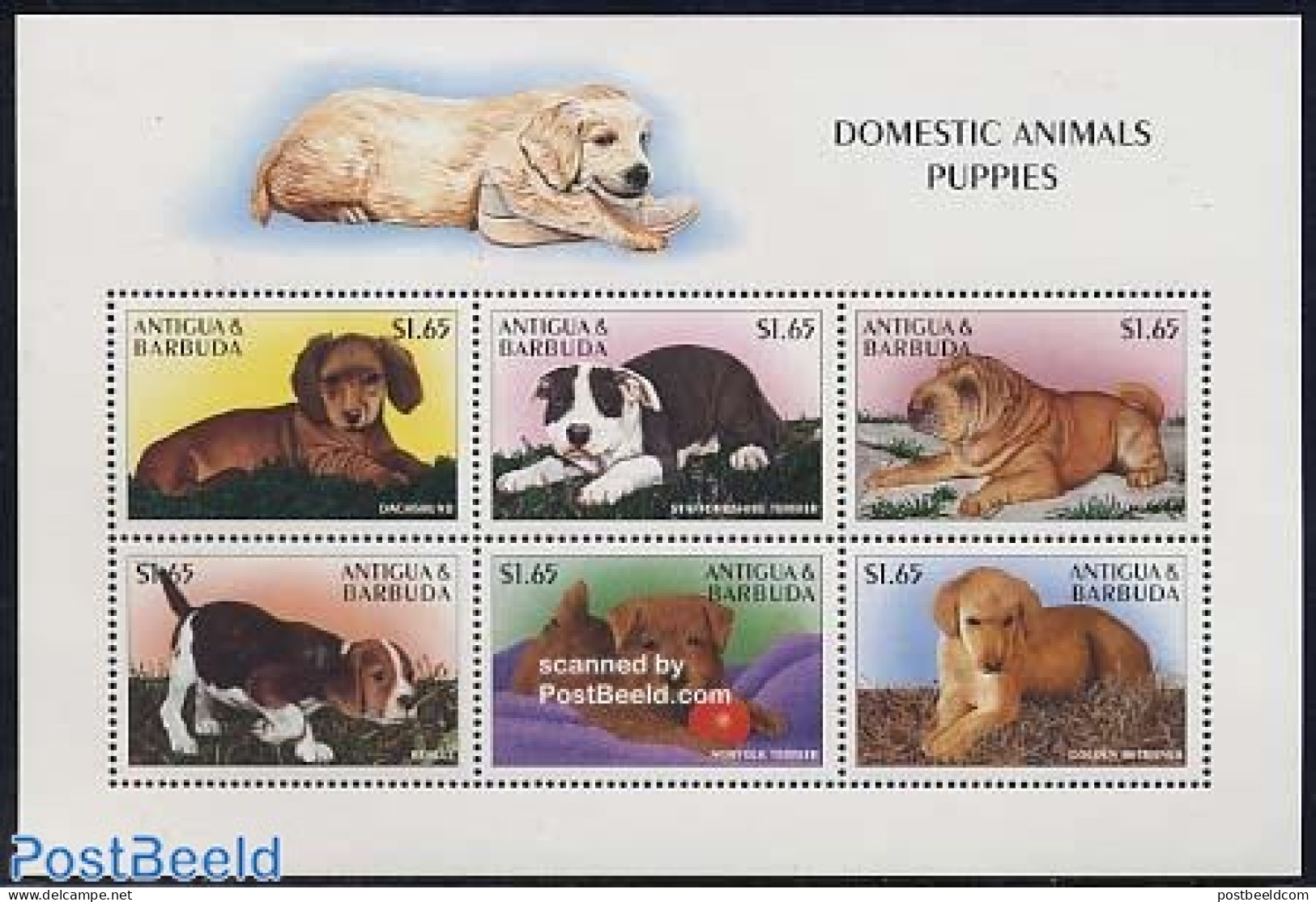 Antigua & Barbuda 1997 Puppie Dogs 6v M/s, Mint NH, Nature - Dogs - Antigua Et Barbuda (1981-...)