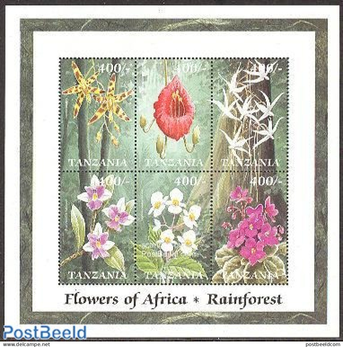 Tanzania 1999 African Flowers 6v M/s /Anselia Africana, Mint NH, Nature - Flowers & Plants - Tansania (1964-...)