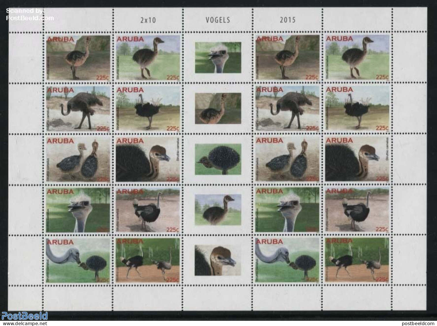 Aruba 2015 Ostrich M/s, Mint NH, Nature - Birds - Other & Unclassified