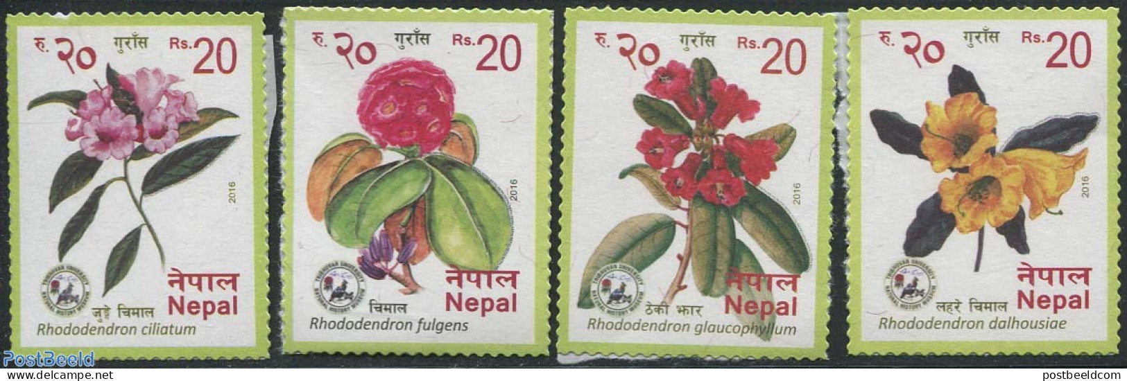 Nepal 2016 Rhododendrons 4v S-a, Mint NH, Nature - Flowers & Plants - Art - Museums - Musea