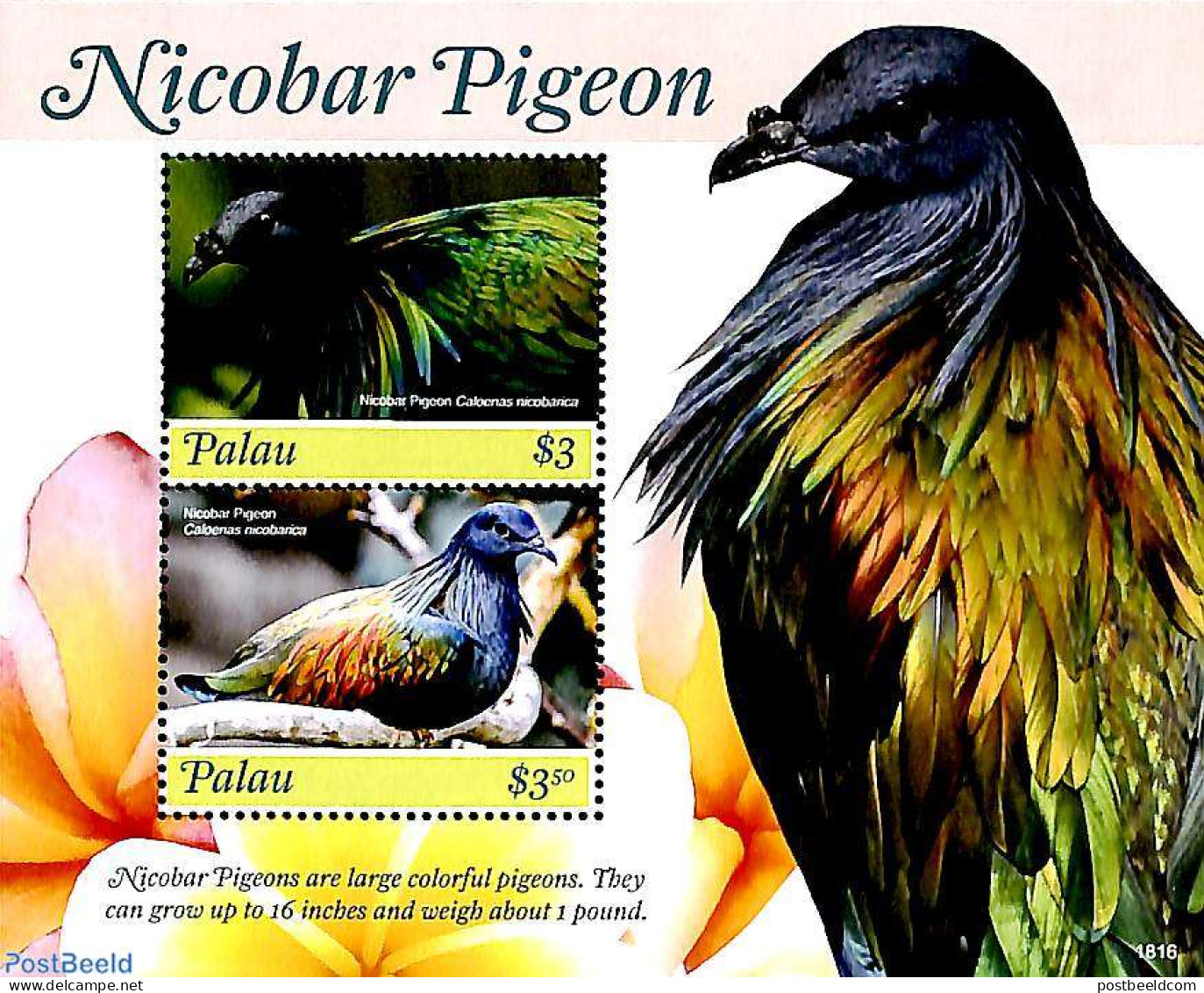 Palau 2018 Nicobar Pigeon 2v M/s, Mint NH, Nature - Birds - Andere & Zonder Classificatie