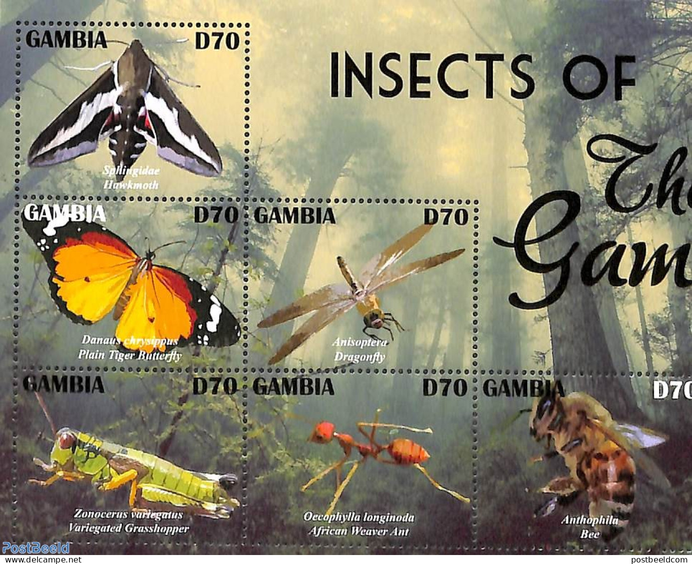Gambia 2021 Insects 6v M/s, Mint NH, Nature - Butterflies - Insects - Gambie (...-1964)