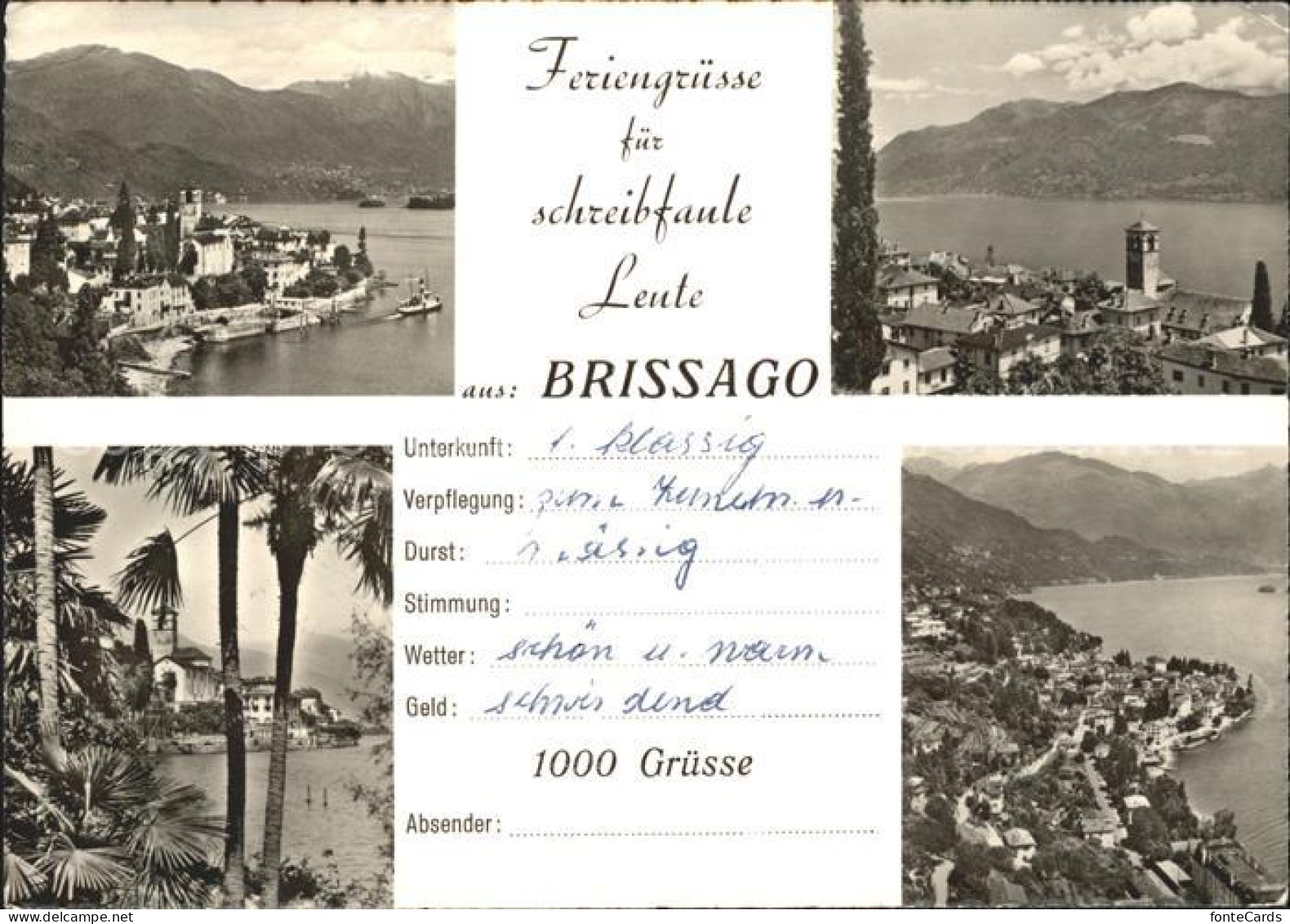 11641918 Brissago TI Partien Am Lago Maggiore Brissago - Autres & Non Classés