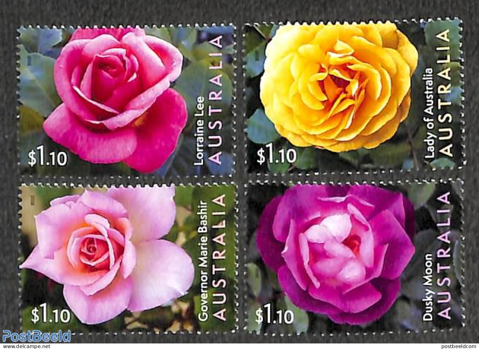 Australia 2022 Roses 4v, Mint NH, Nature - Flowers & Plants - Roses - Unused Stamps