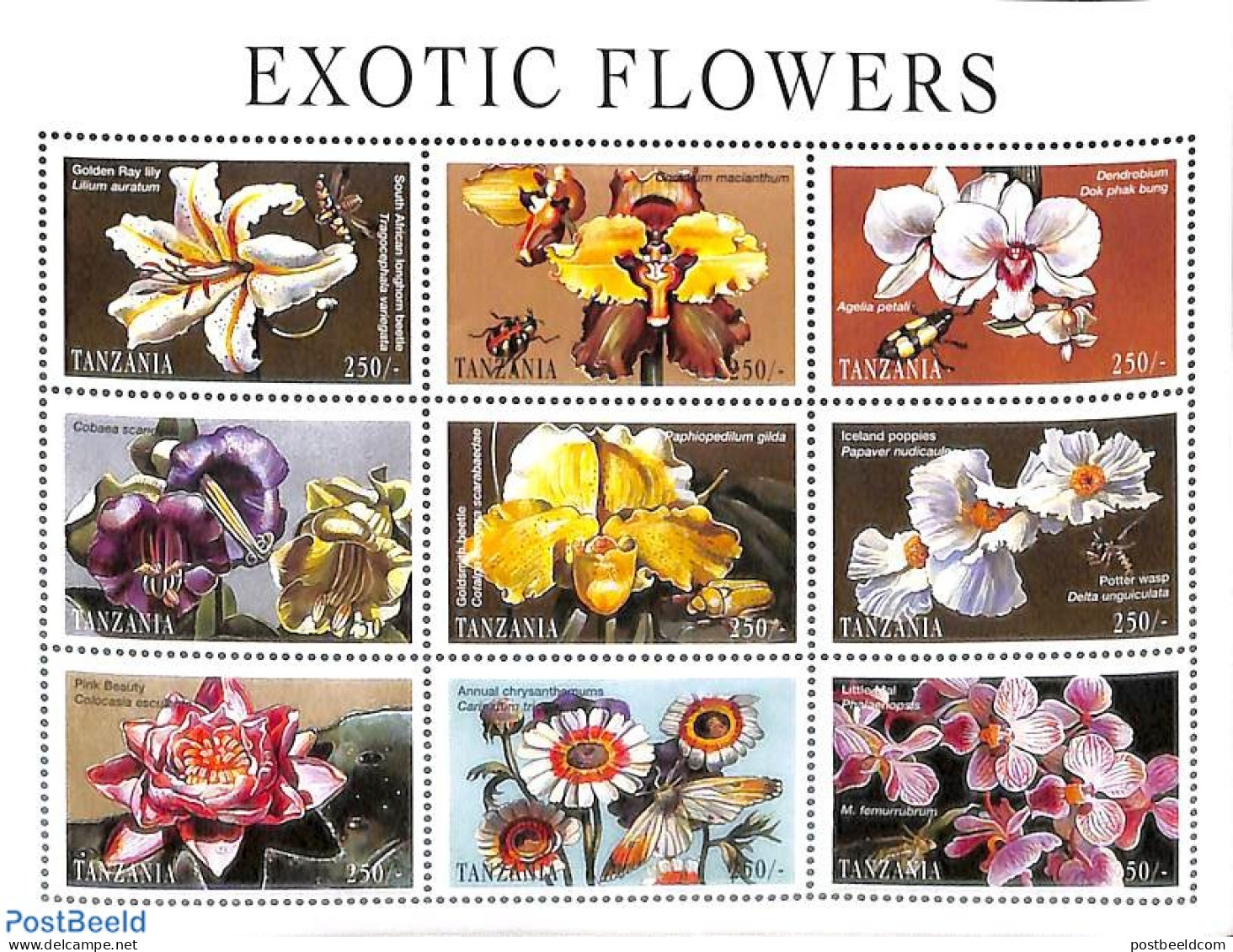 Tanzania 1998 Insects & Flowers 9v M/s, Mint NH, Nature - Flowers & Plants - Insects - Tanzanie (1964-...)