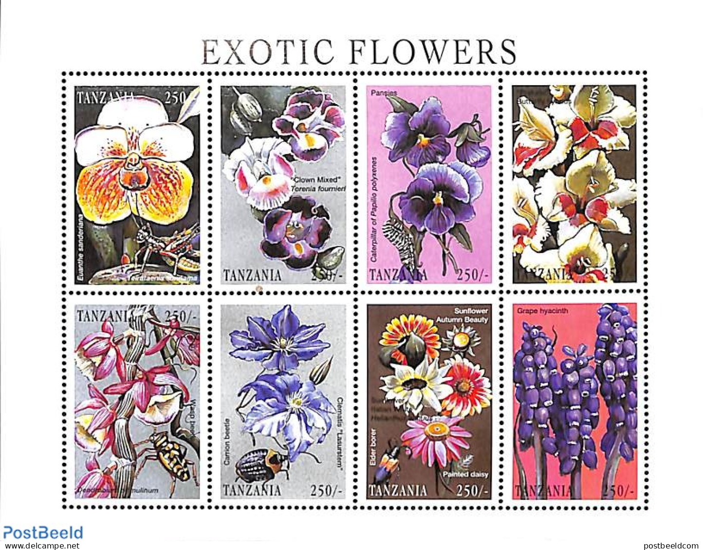 Tanzania 1998 Insects & Flowers 8v M/s, Mint NH, Nature - Flowers & Plants - Insects - Tanzania (1964-...)