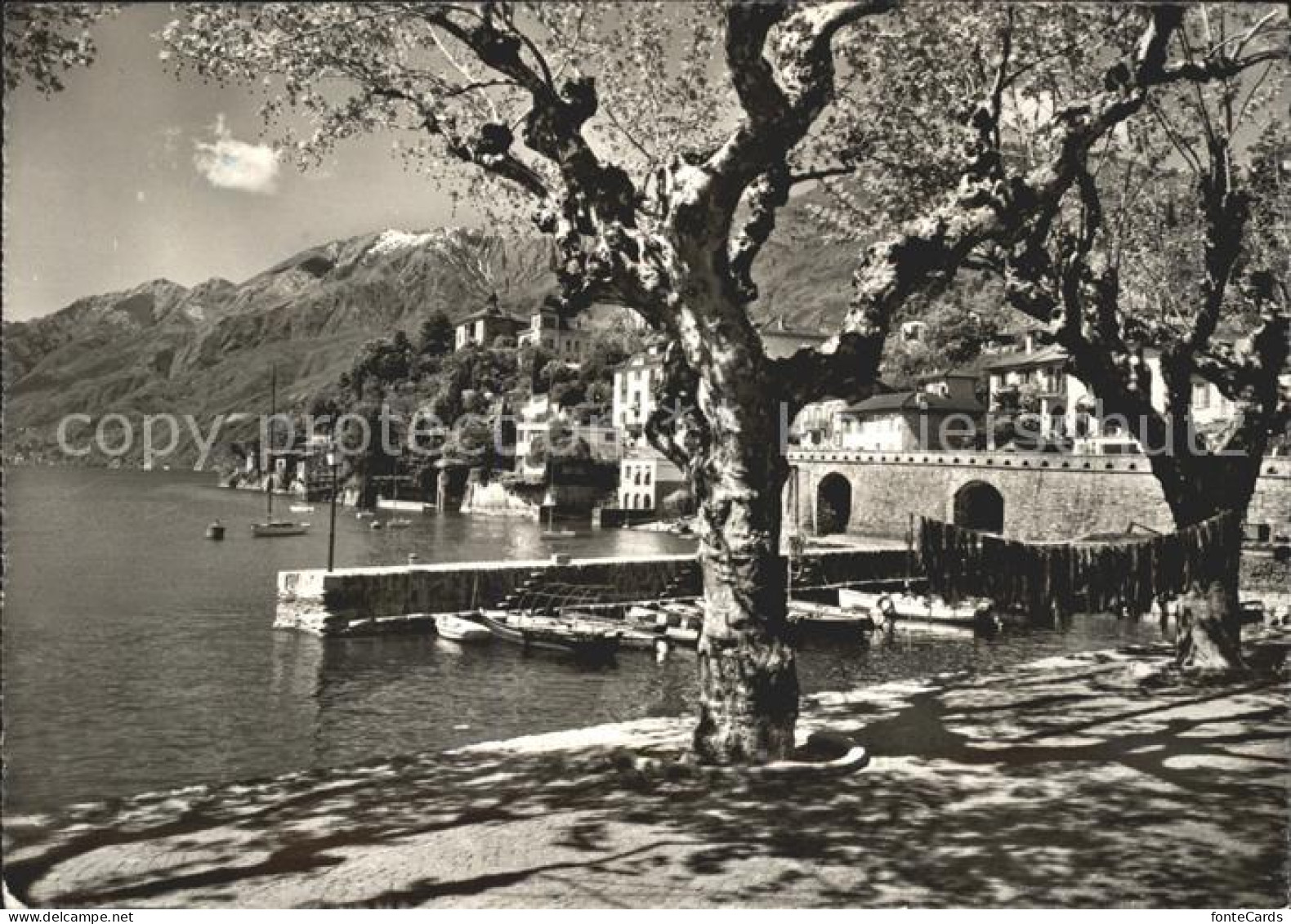 11641845 Ascona TI San Michele Lago Maggiore Ascona - Other & Unclassified