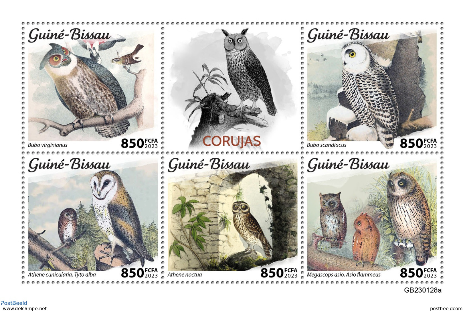 Guinea Bissau 2023 Owls, Mint NH, Nature - Birds - Birds Of Prey - Owls - Guinée-Bissau