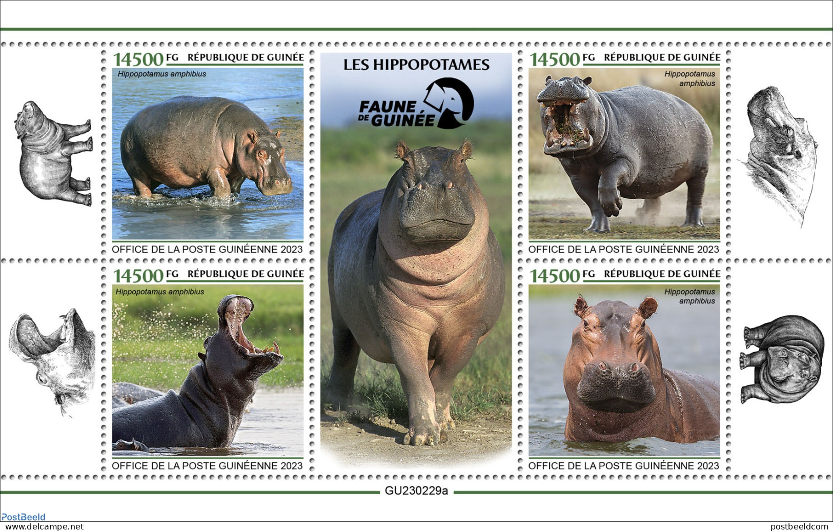 Guinea, Republic 2023 Hippos, Mint NH, Nature - Hippopotamus - Autres & Non Classés