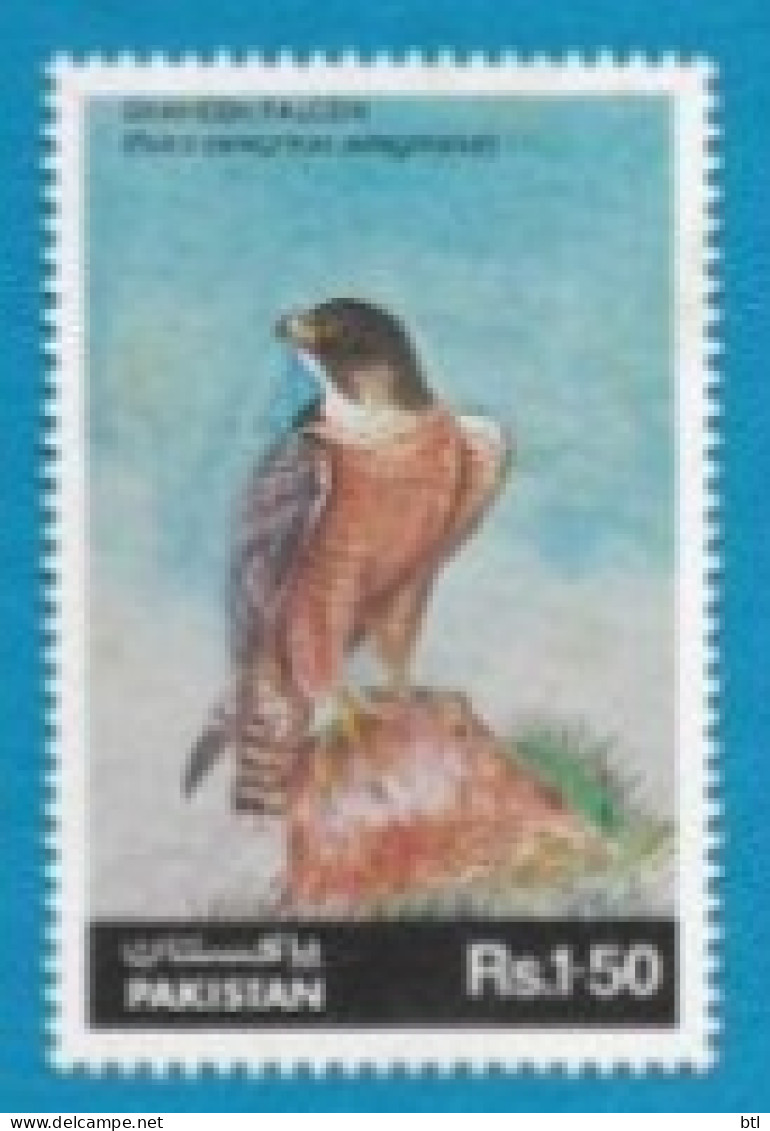 Pakistan : Wild Life Of Pakistan " Falcon " - Pakistán