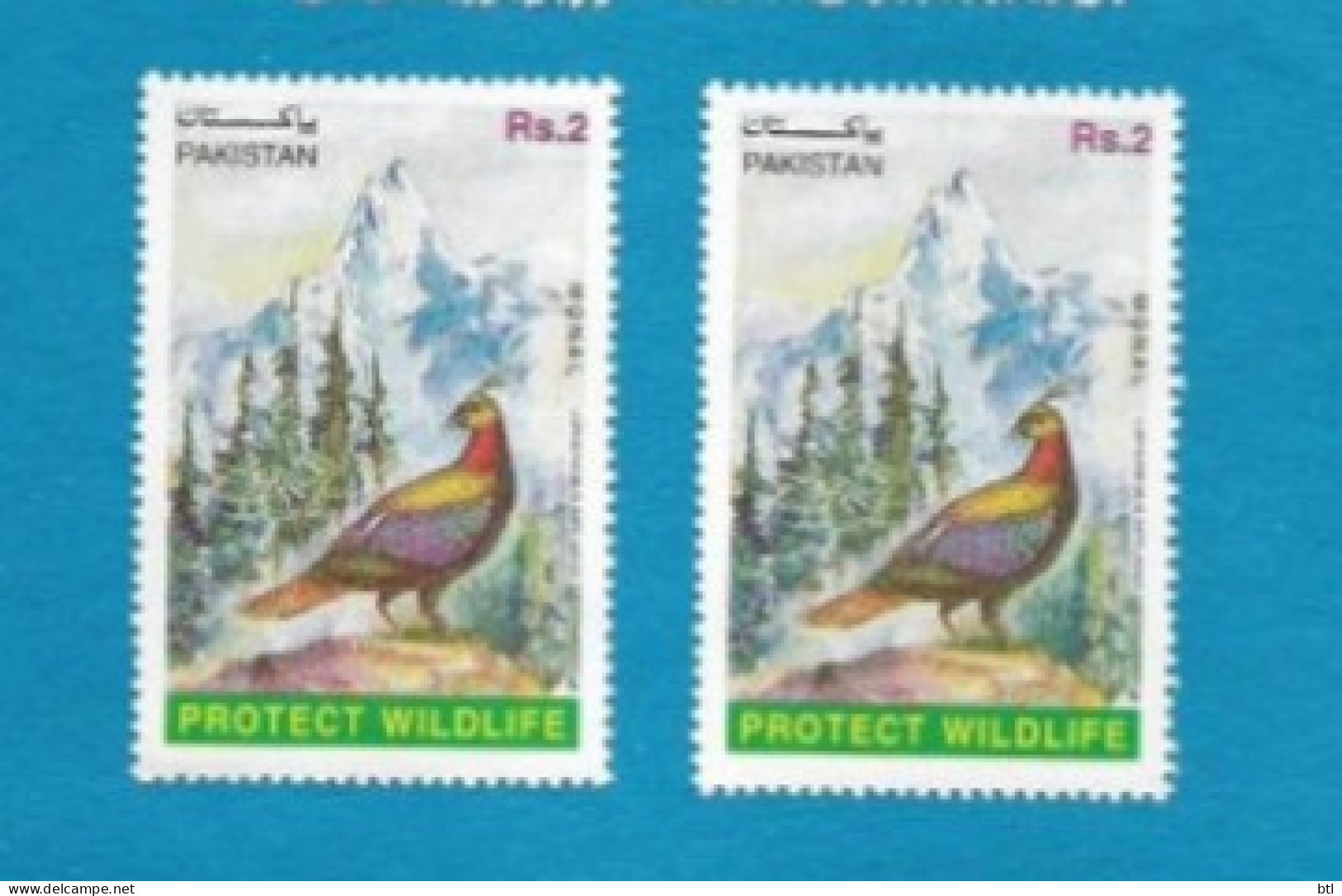Pakistan : Wild Life Of Pakistan " Himalayan Monal Pheasant " - Pakistán