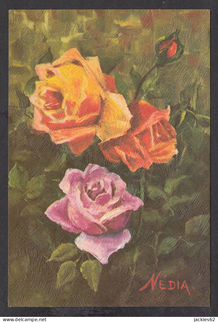 093530/ NEDIA, Fleurs, Roses - Andere & Zonder Classificatie