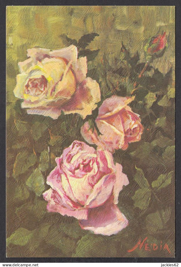 093531/ NEDIA, Fleurs, Roses - Autres & Non Classés