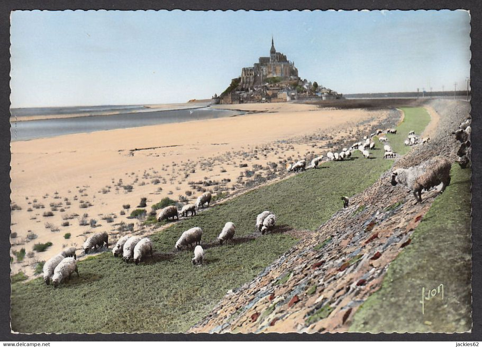 076381/ Troupeau De Moutons Sur Les Prés-salés Du Mont-Saint-Michel - Breeding