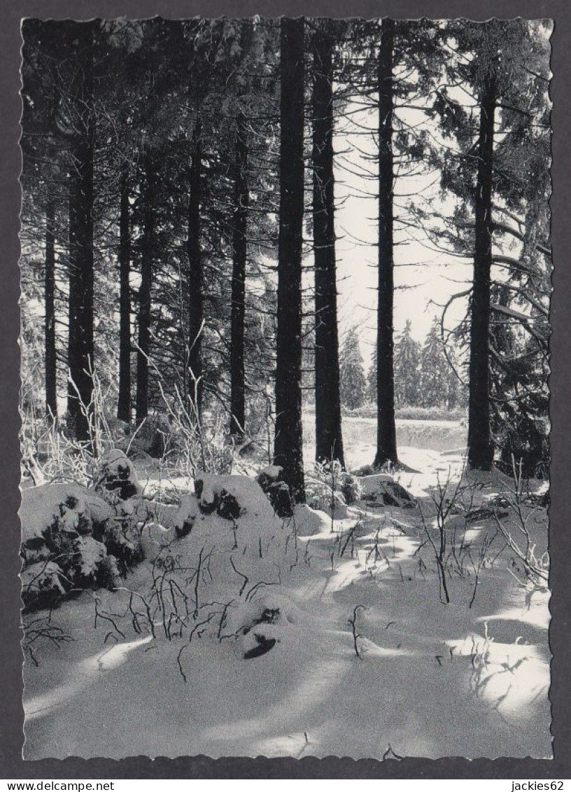 119594/ Hiver En Haute-Belgique - Sonstige & Ohne Zuordnung