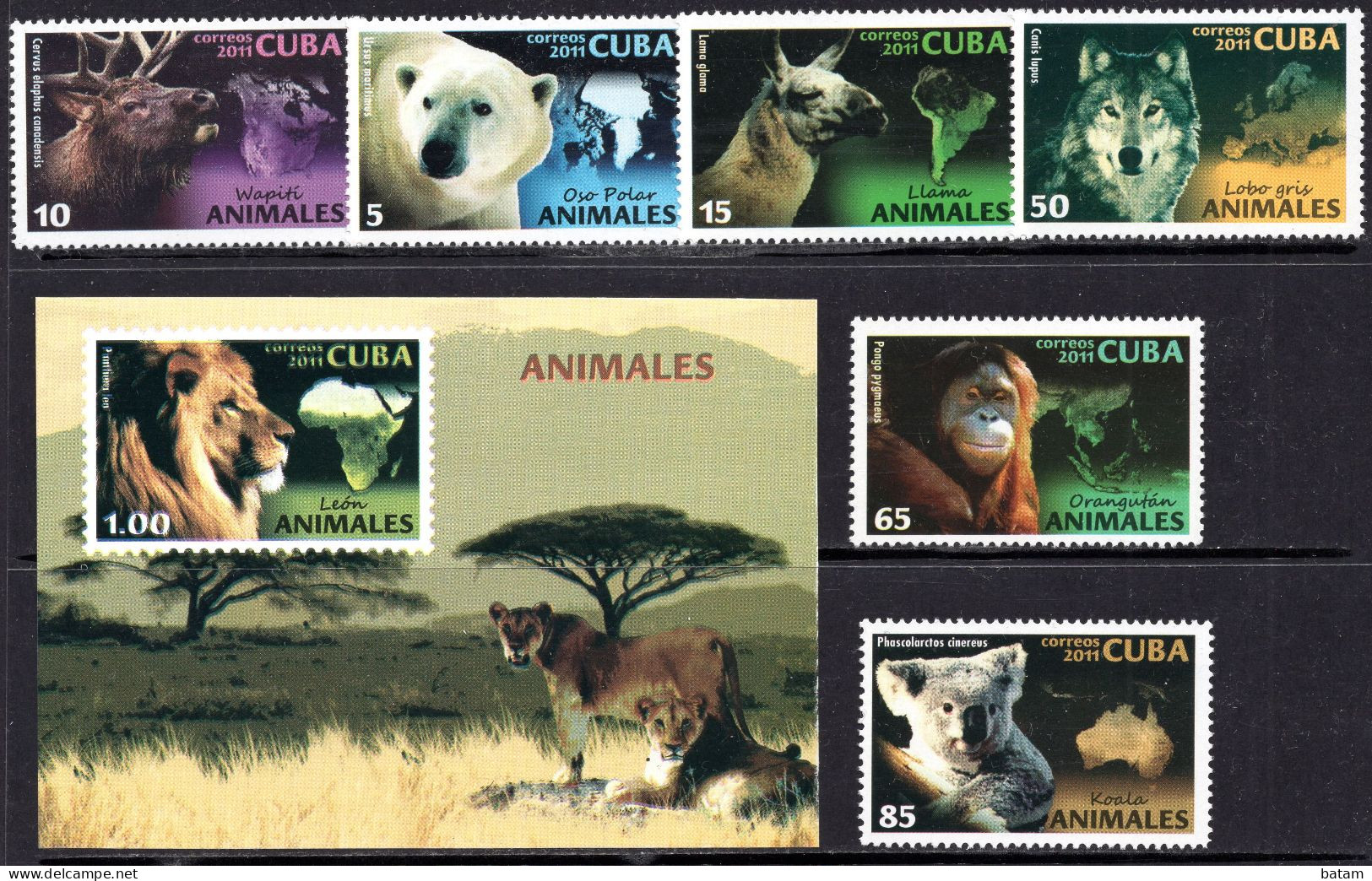 Cuba 2011 - Fauna - Koala - Bear - Wolf - Monkey - MNH Set + S/S - Nuovi