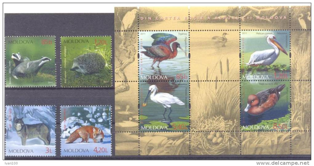 2011. Moldova, Protect Fauna, Animals & Birds, 4v + S/s,  Mint/** - Moldawien (Moldau)