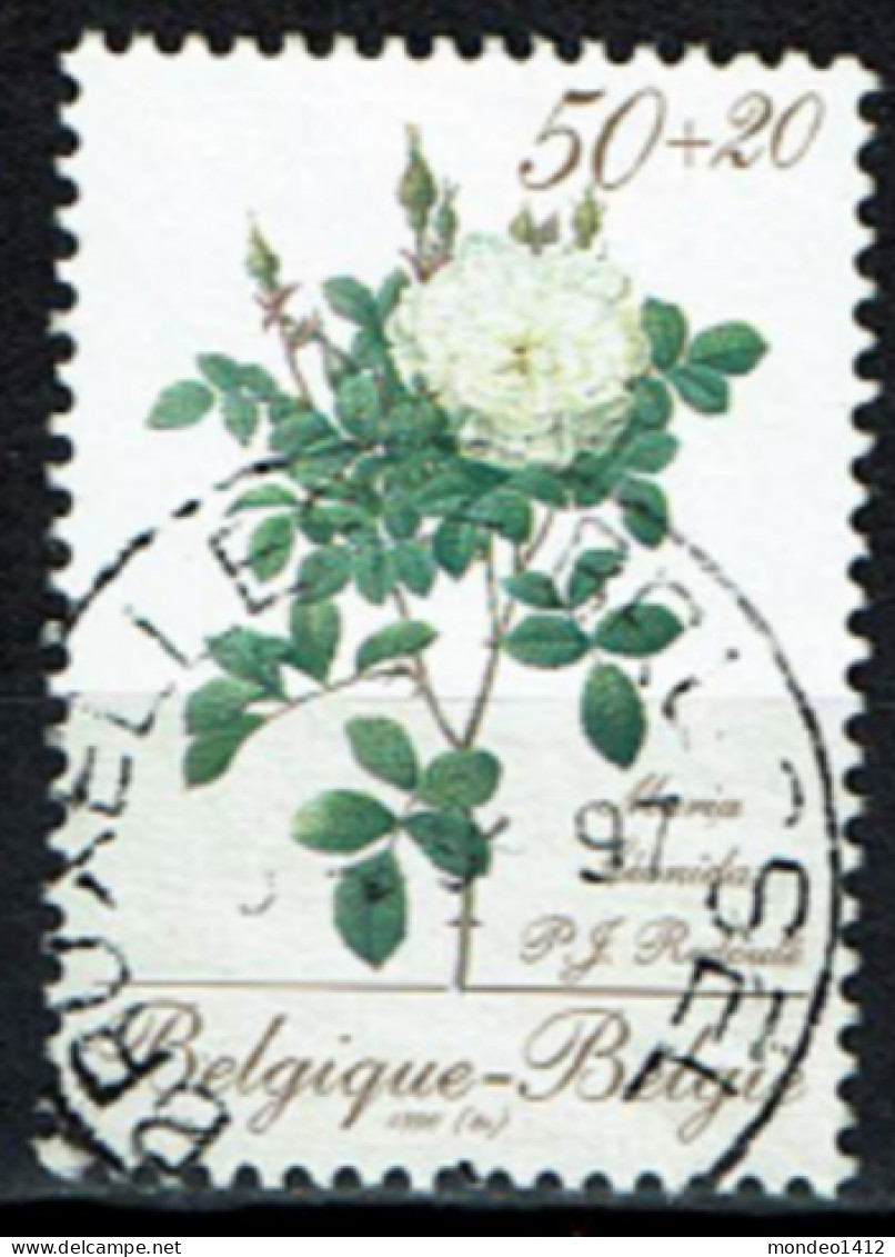 België 1990 OBP 2355 Flowers Roos - Rose - Bonne Valeur - Gebraucht
