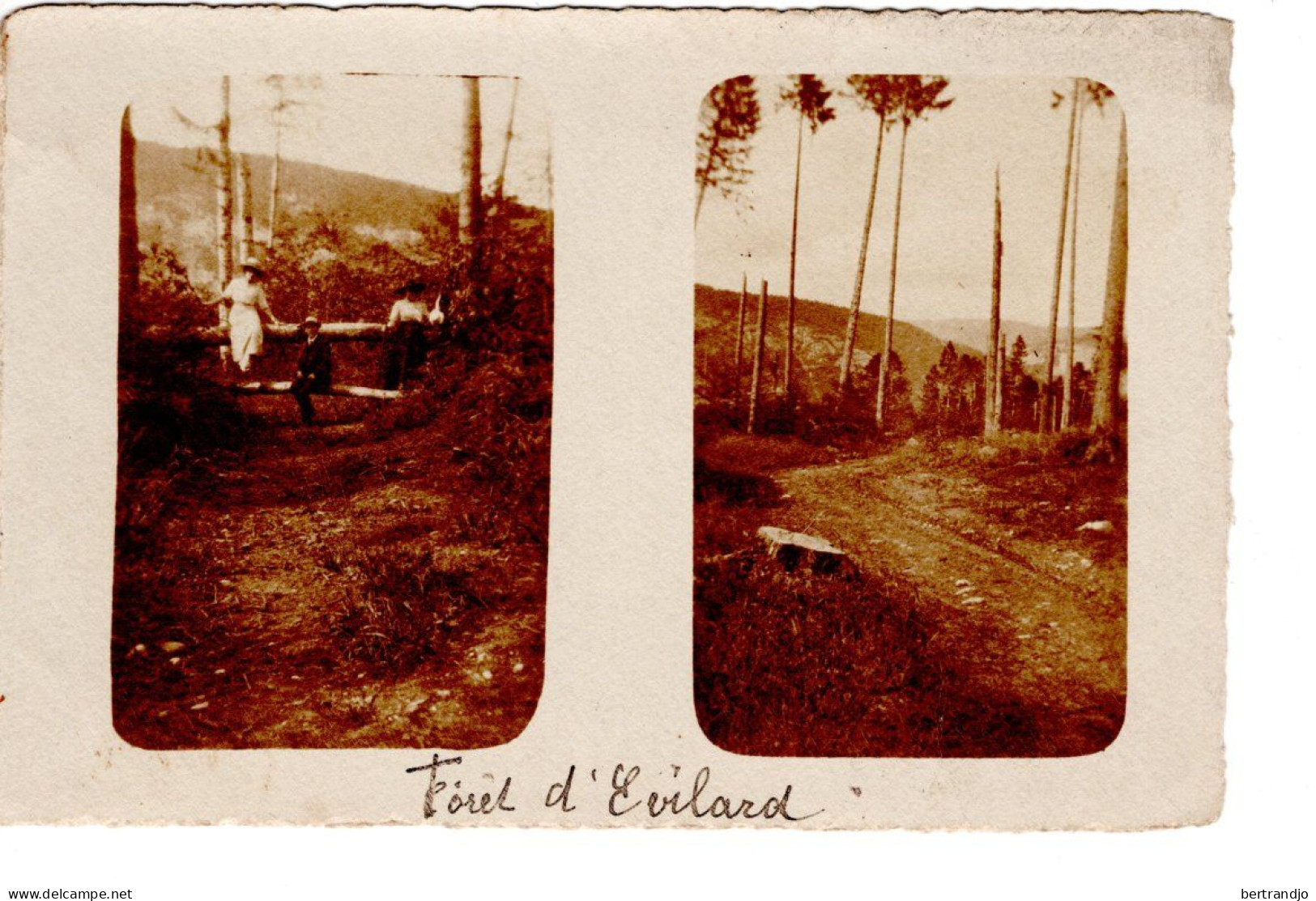 Carte Photo De Evilard écrite En 1912 - Evilard