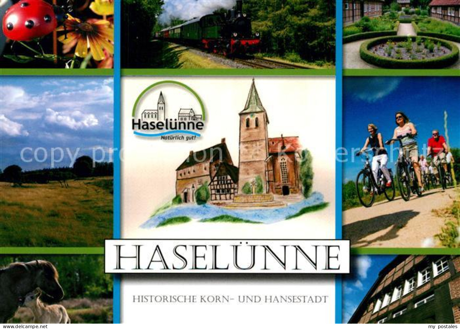 73214657 Haseluenne Historische Korn Und Hansestadt Landschaftspanorama Pferde D - Haselünne