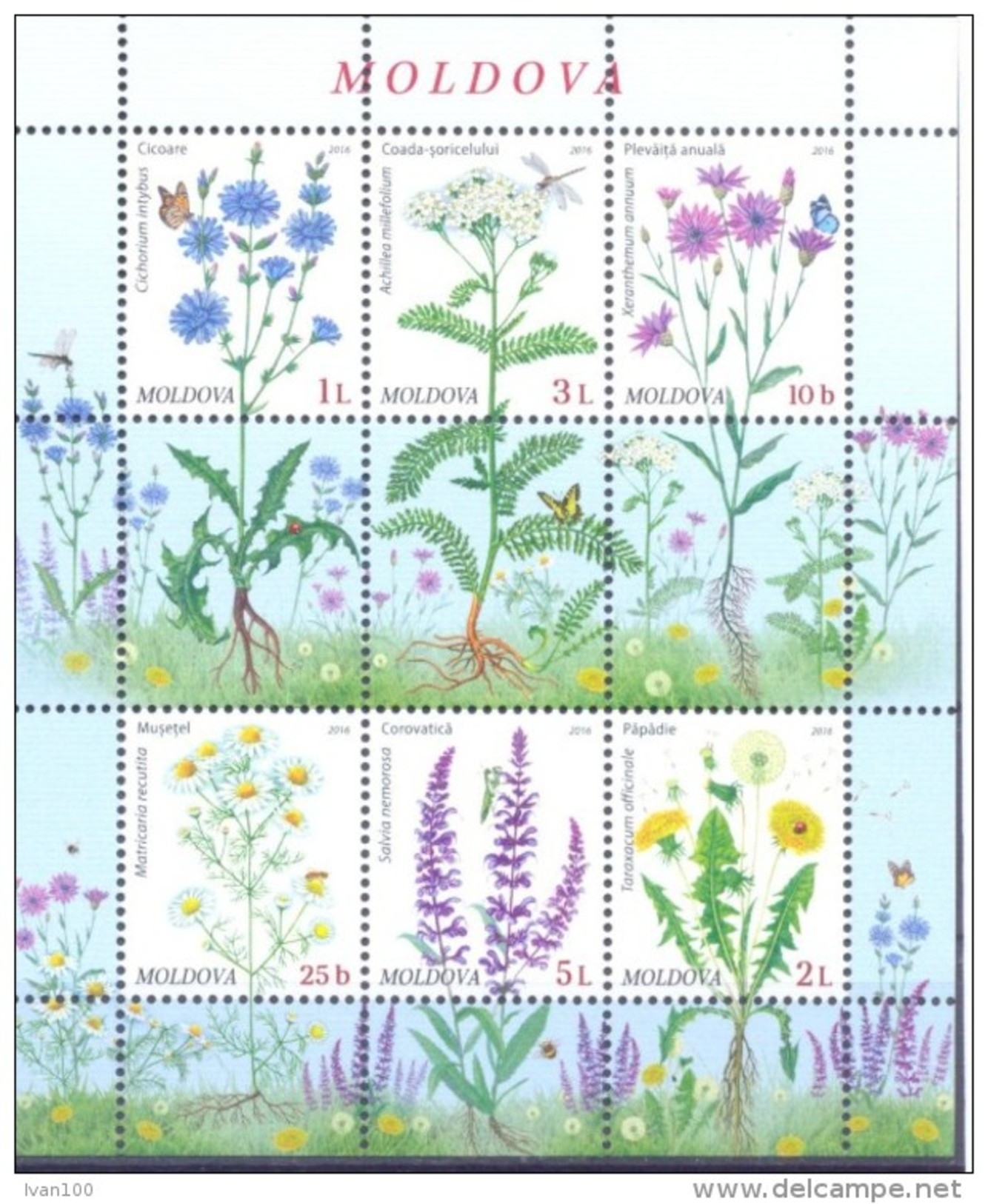 2016. Moldova, Flora Of Moldova, Wild Flowers,  S/s, Mint/** - Moldavia