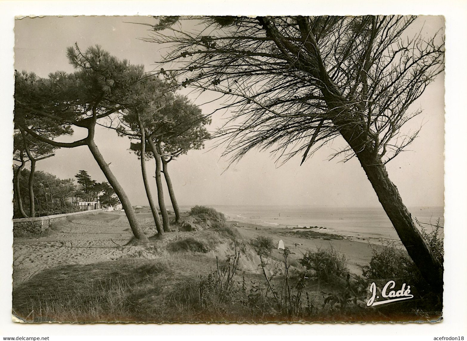 SAINT-BRÉVIN-L'OCÉAN - Chemin Des Hôtels Et Du Casino - Saint-Brevin-l'Océan