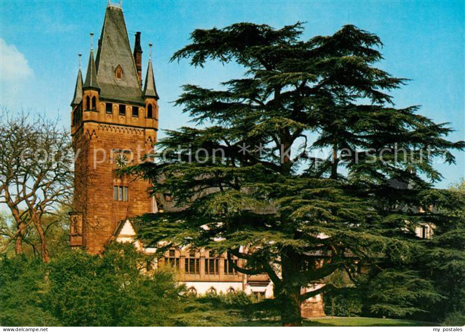 73214122 Weinheim Bergstrasse Schloss Park Historische Weinstadt Weinheim Bergst - Weinheim