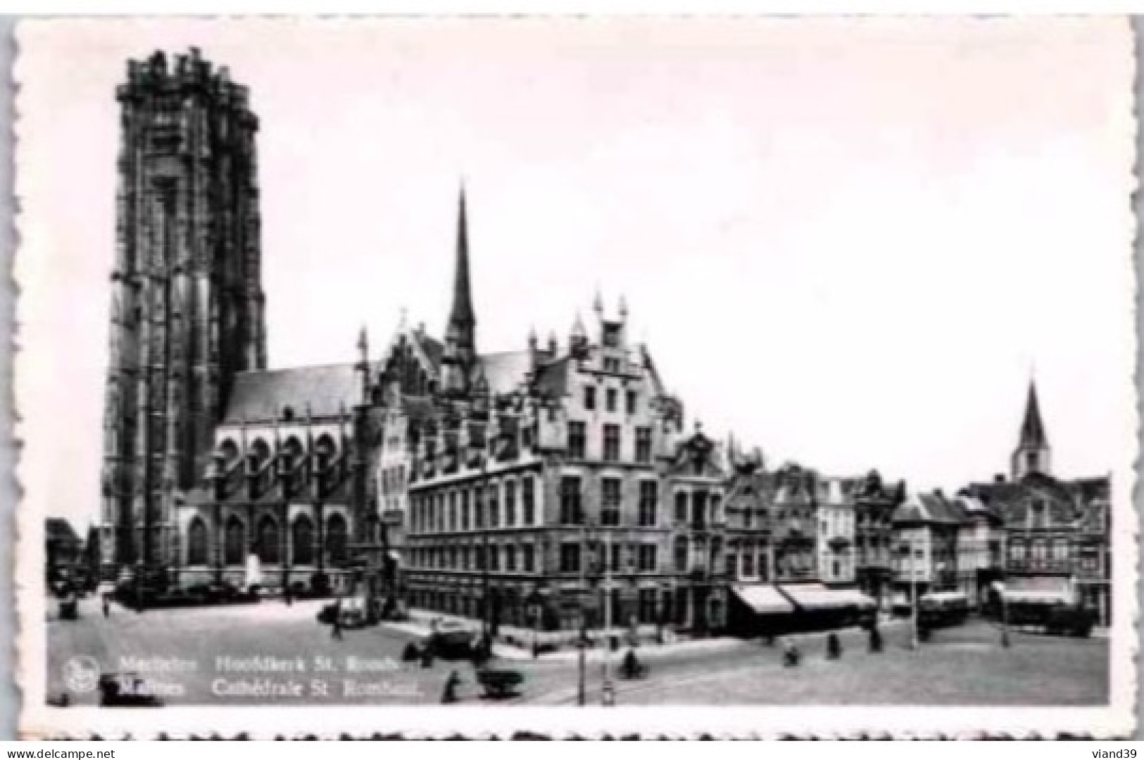 MALINES. -  MECHELEN. -  Cathédrale St Rombaut. ( Commerces Et  Véhicules.)  .     Non Circulé. - Malines