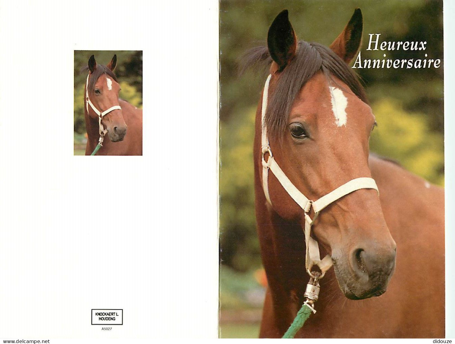 Format Spécial - 170 X 110 Mms - Animaux - Chevaux - Carte Anniversaire - Portrait - Tête De Cheval - Carte Neuve - Frai - Horses