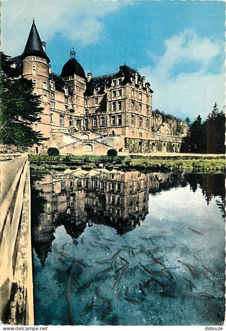 38 - Vizille - Le Château Et Le Lac Aux Truites - CPM - Voir Scans Recto-Verso - Vizille