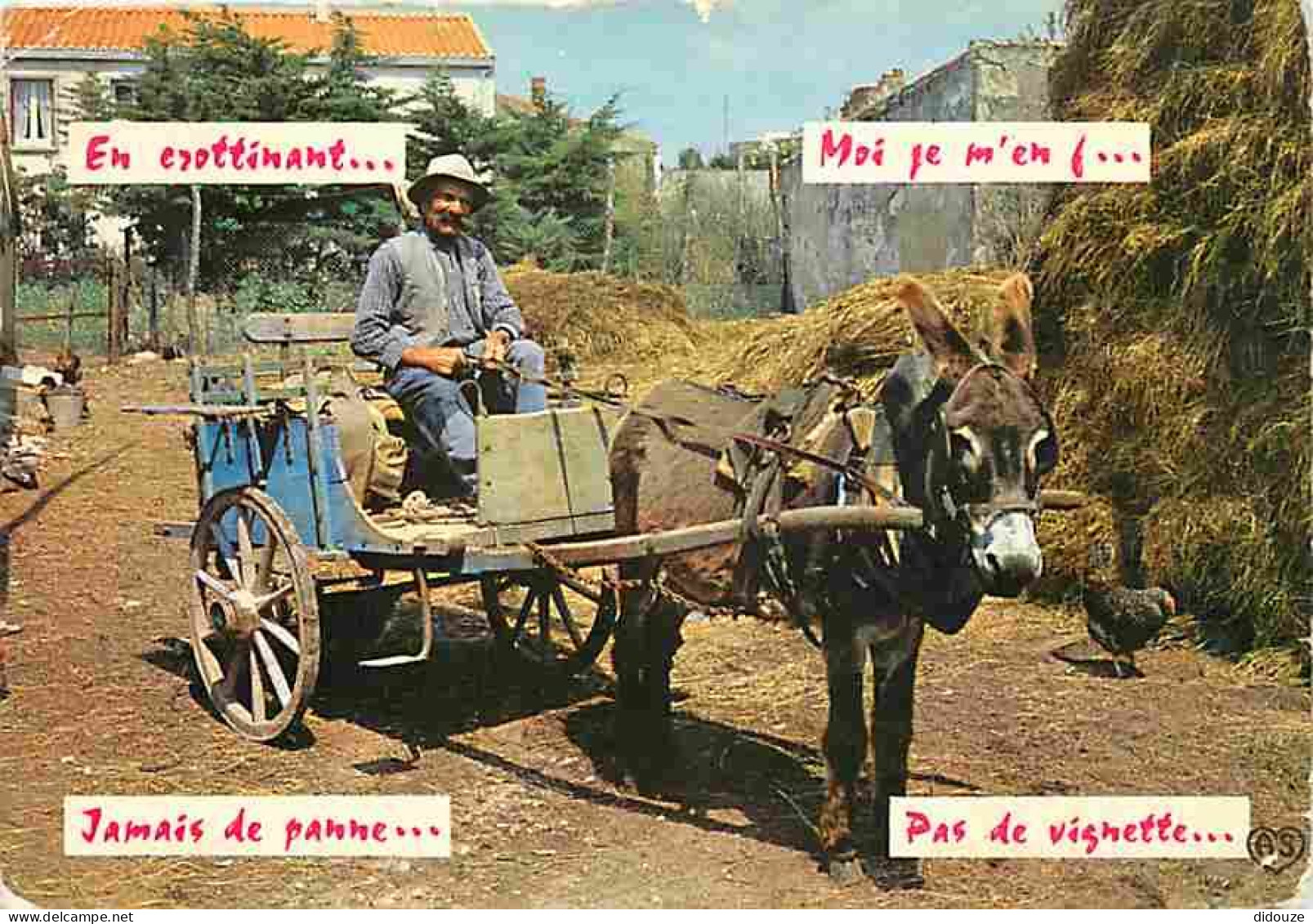 Animaux - Anes - Carte Humoristique - Charette - Paysan - Etat Pli Et Coups Visibles - CPM - Voir Scans Recto-Verso - Donkeys