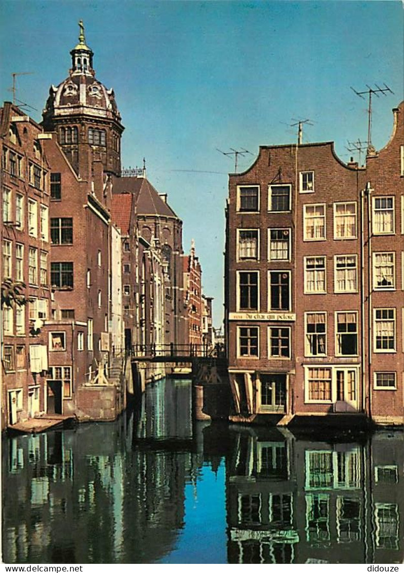 Pays-Bas - Nederland - Amsterdam - CPM - Voir Scans Recto-Verso - Amsterdam