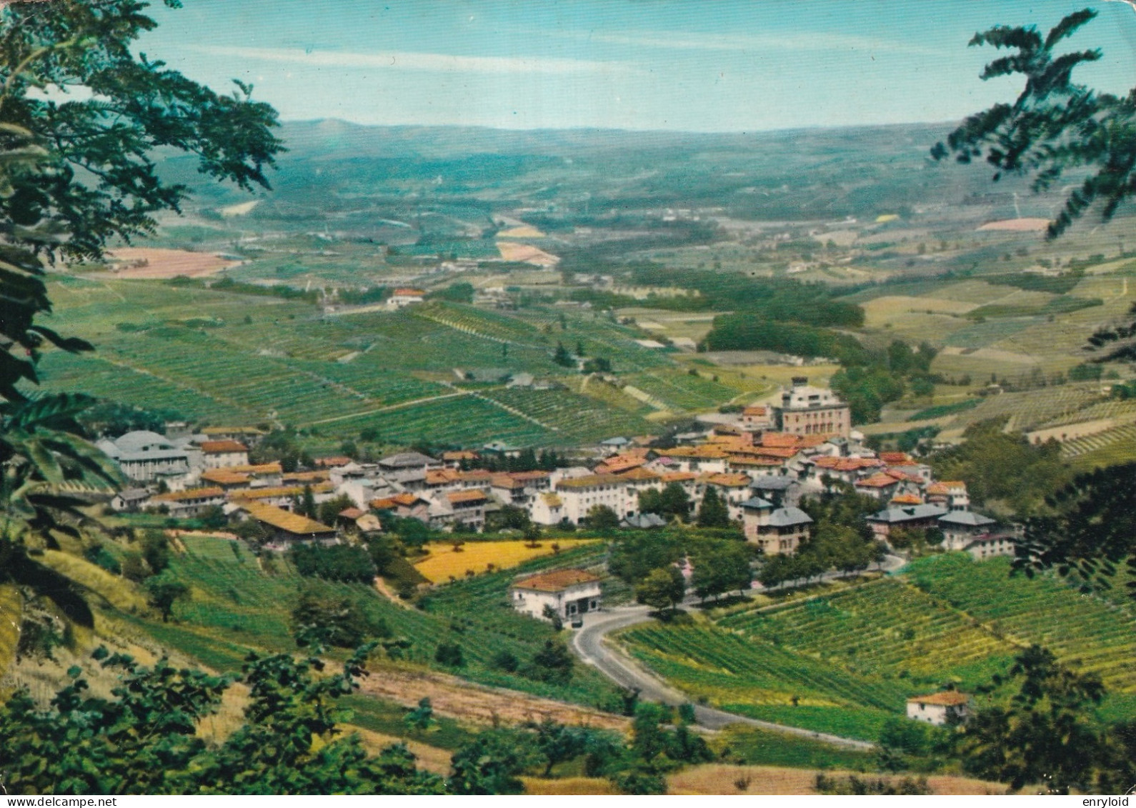 Barolo Panorama - Altri & Non Classificati