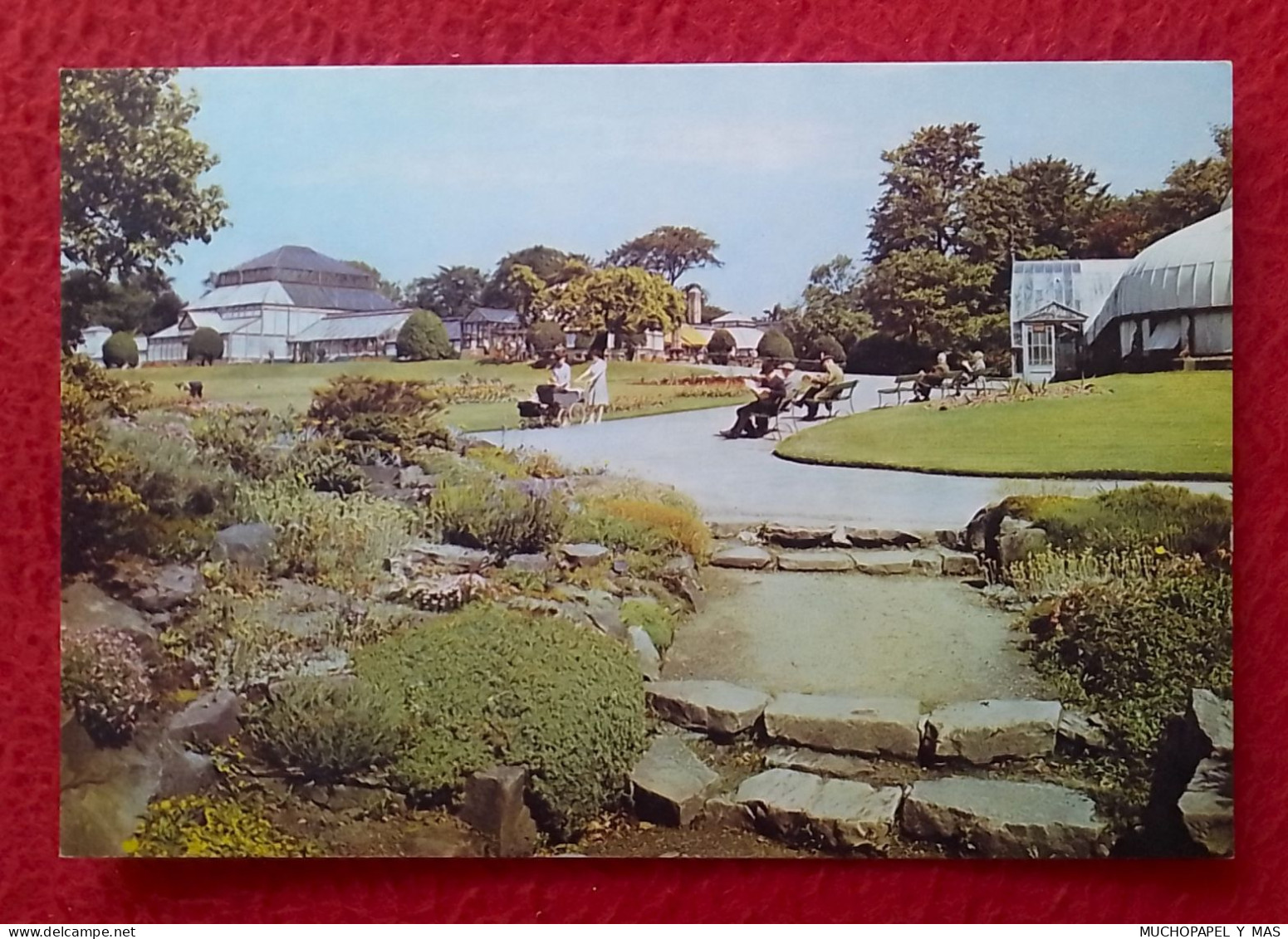 POSTAL POST CARD THE BOTANIC GARDENS GLASGOW EL JARDÍN BOTÁNICO ESCOCIA SCOTLAND..JARDINES CARTOLINA..CARTE POSTALE..UK. - Lanarkshire / Glasgow