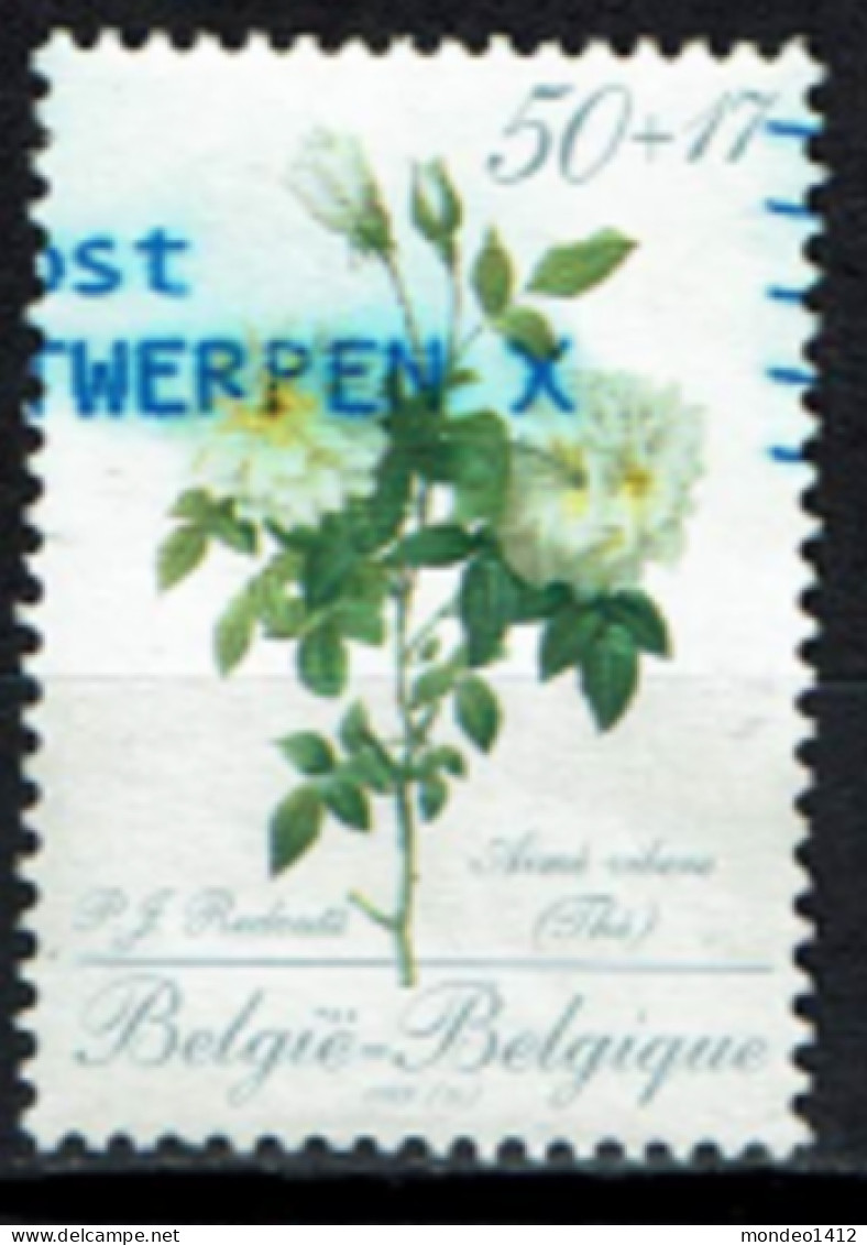 België 1989 OBP 2320 - Y&T 2320 - Roos, Rose De L'ouvrage De Pierre-Joseph Redouté - Bonne Valeur - Used Stamps