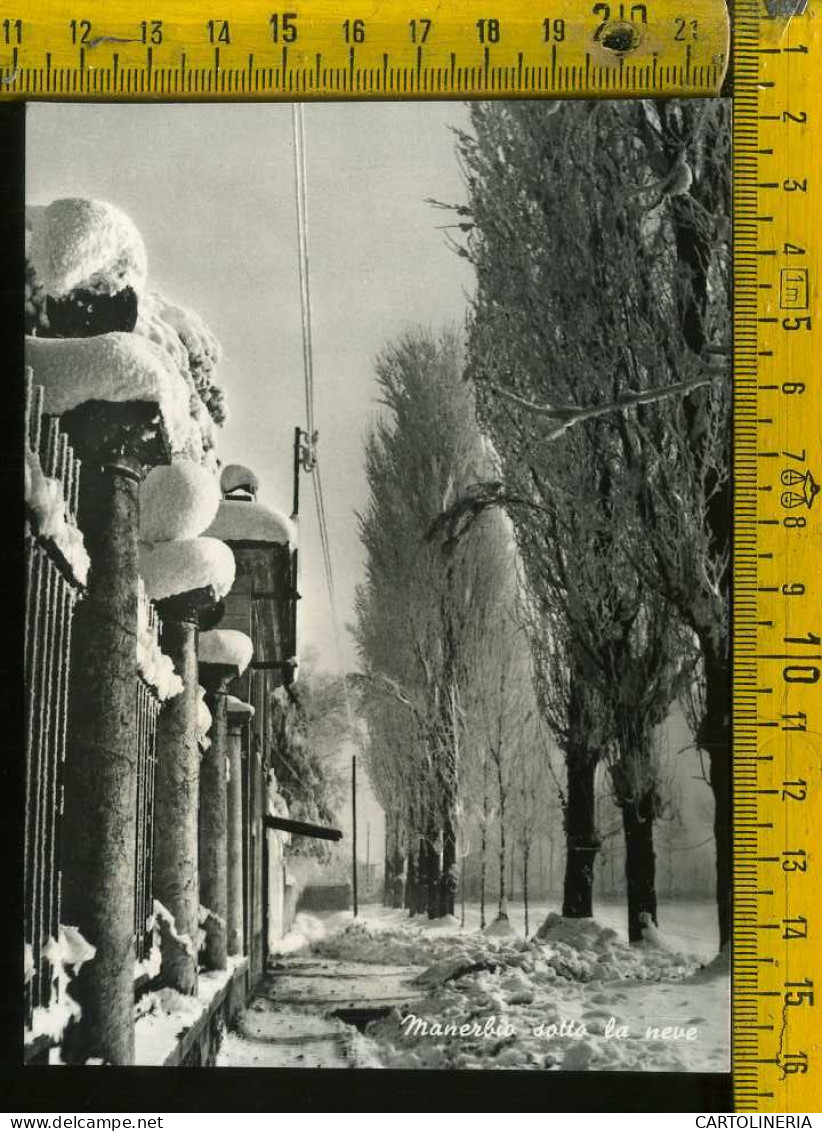 Brescia Manerbio Sotto La Neve - Brescia