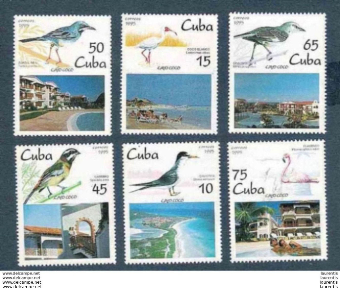 D7660  Birds - Oiseaux - Tourism - Yv 3489-04 - Cb - 2,40 - Otros & Sin Clasificación