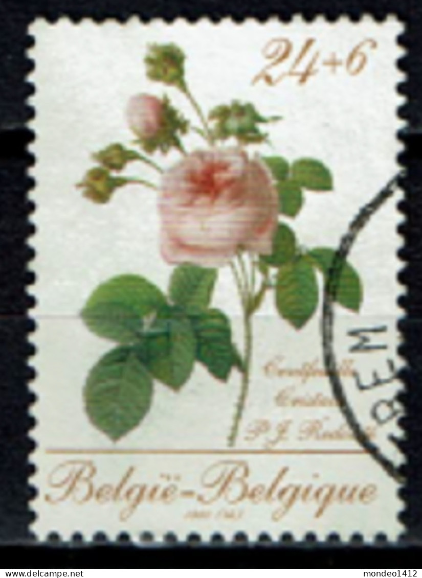 België 1988 OBP 2281 - Y&T 2281 - Roos, Rose De L'ouvrage De Pierre-Joseph Redouté - Gebruikt