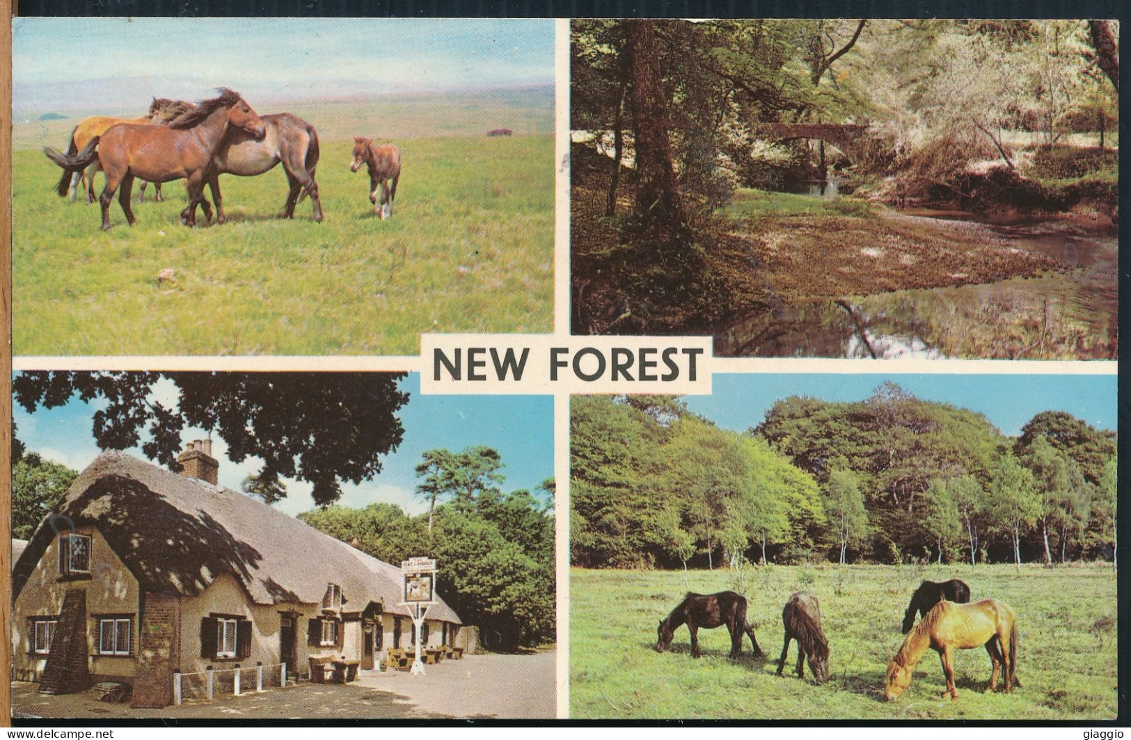 °°° 30912 - UK - NEW FOREST - VIEWS - 1967 With Stamps °°° - Otros & Sin Clasificación