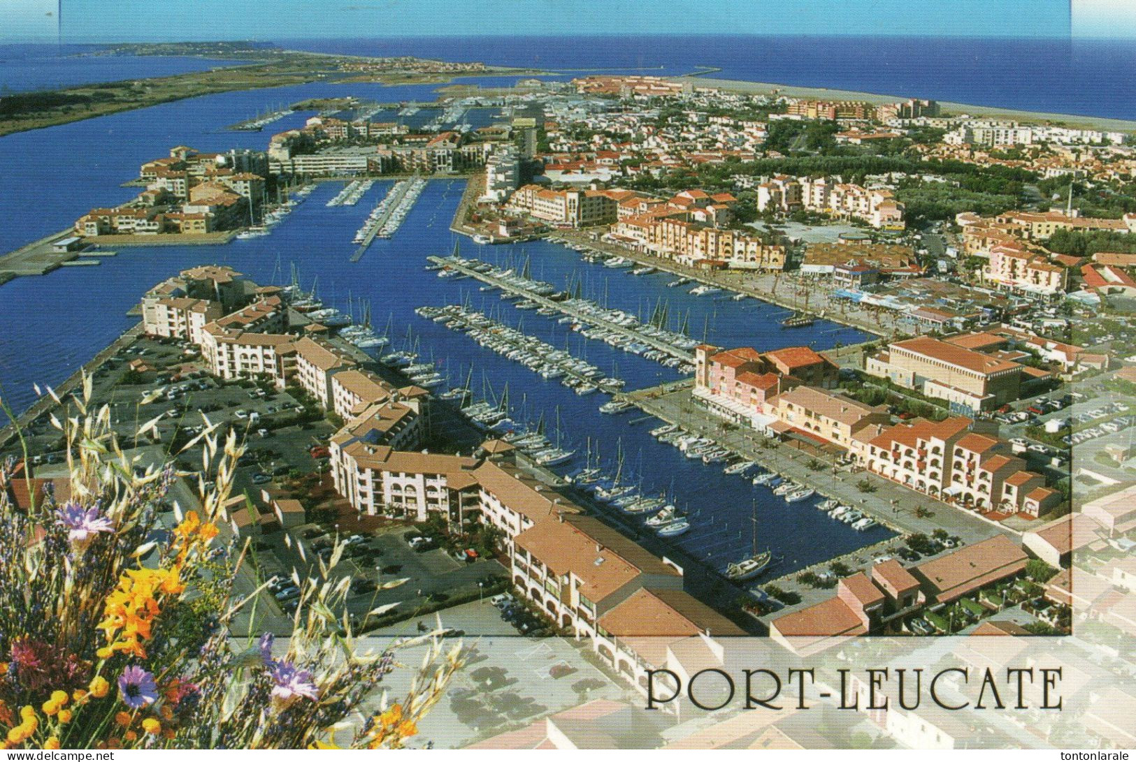 CP-PORT LEUCATE - Leucate