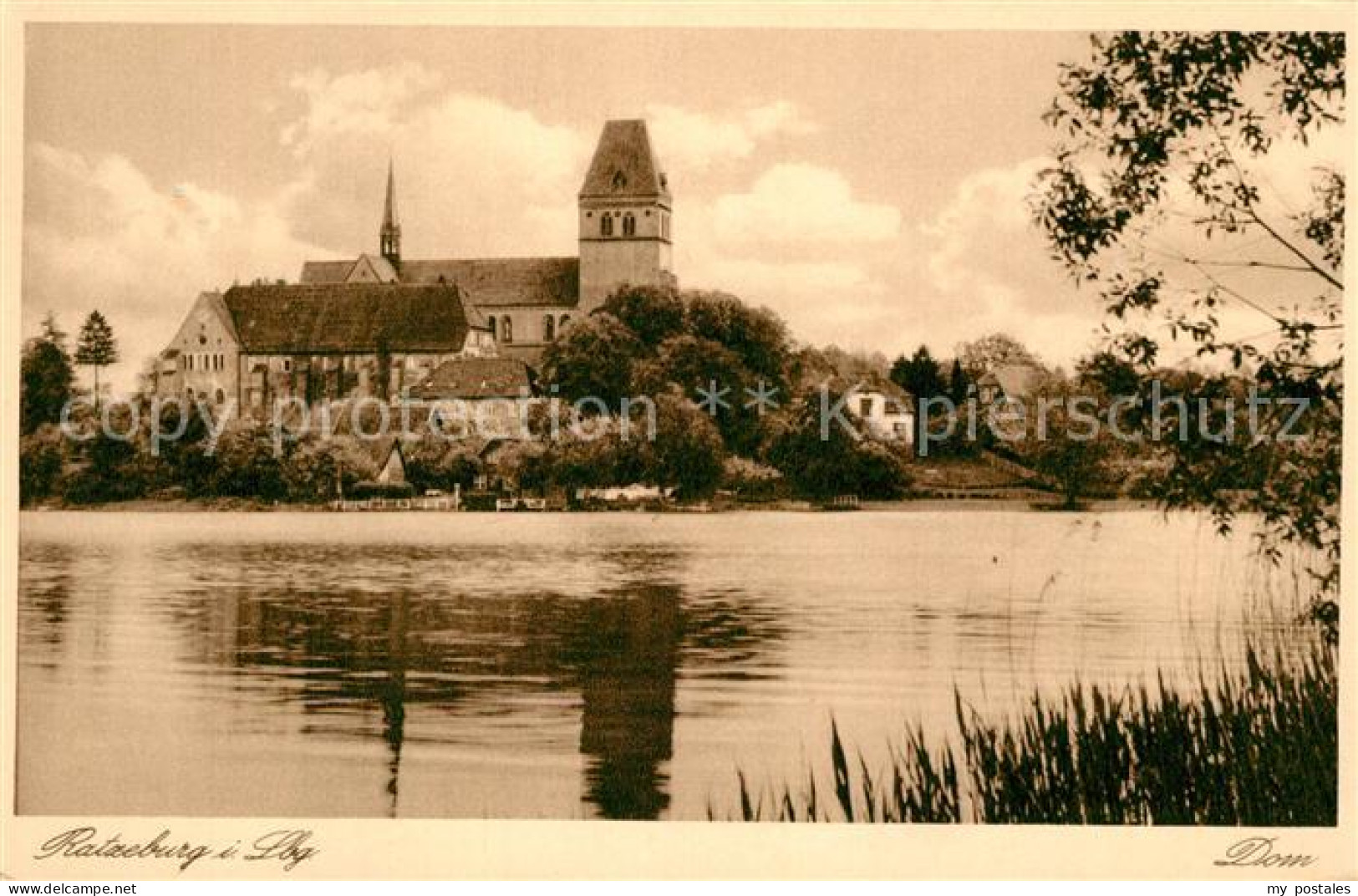 73171847 Ratzeburg Uferpartie Am Ratzeburger See Blick Zum Dom Naturpark Lauenbu - Ratzeburg