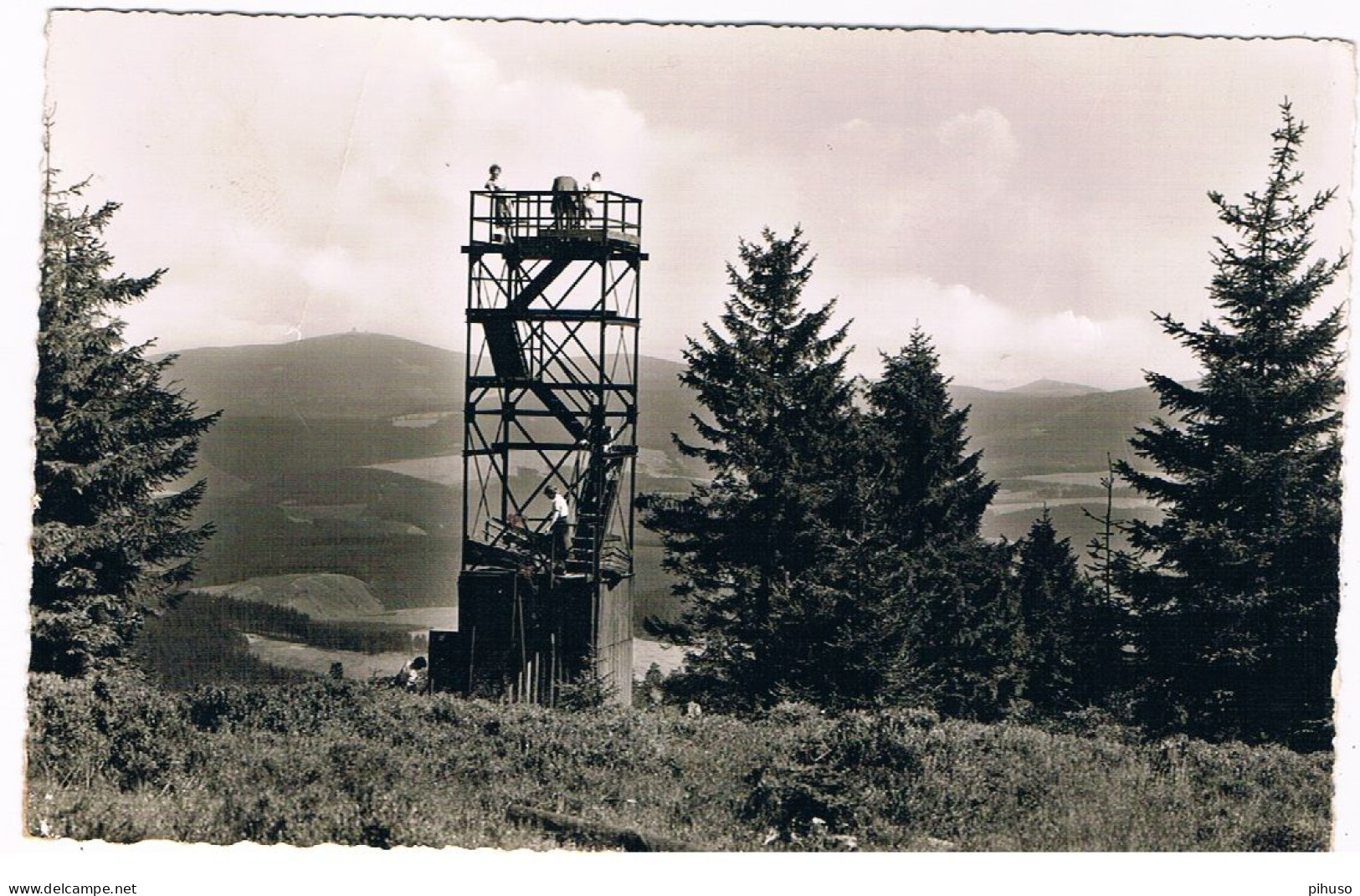 D-17096  FESTENBURG : Blick Von Der Schalke Zum Bracken Und Wurmberg - Clausthal-Zellerfeld