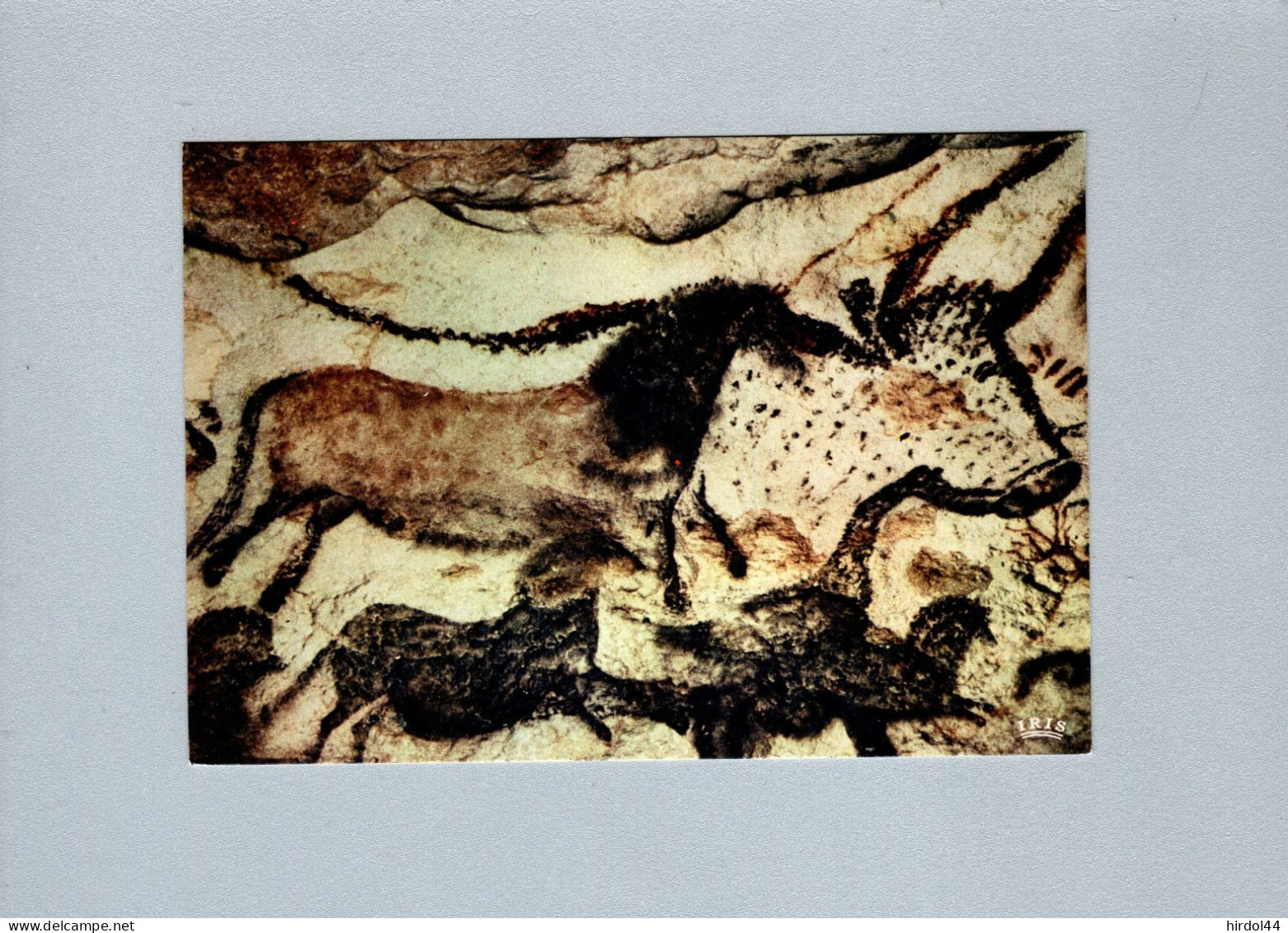 Histoire - Grotte De Lascaux - Premier Taureau, Cheval Rouge Et Chevaux Bruns - Geschichte