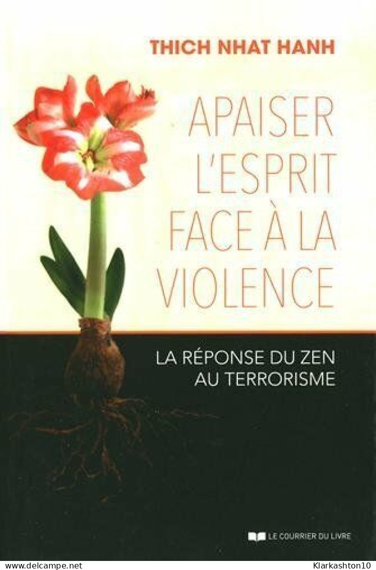 Apaiser L'esprit Face à La Violence : La Réponse Du Zen Au Terrorisme - Autres & Non Classés