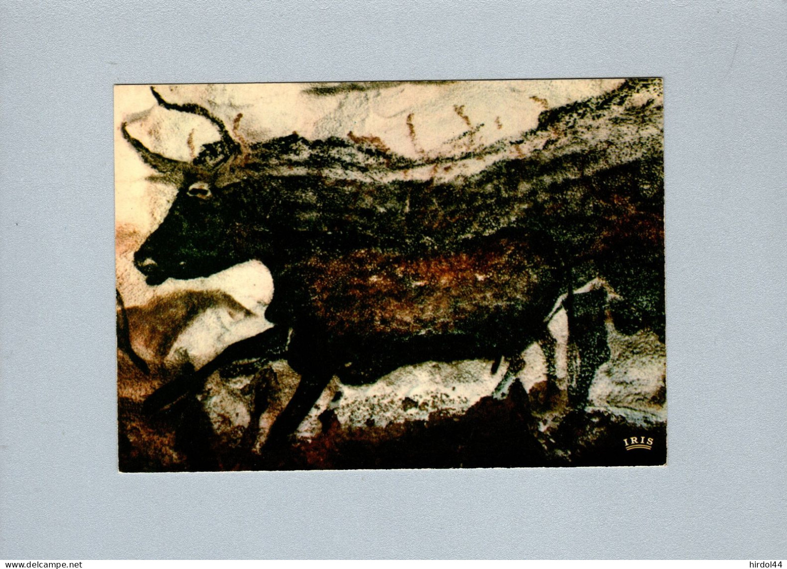 Histoire - Grotte De Lascaux - Grand Taureau - History