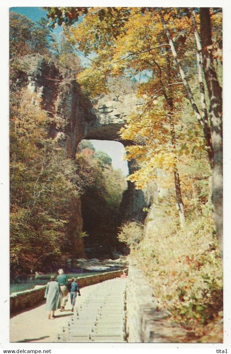 67  - Natural Bridge Virginia - Sonstige & Ohne Zuordnung